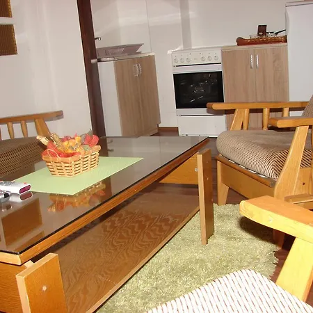 Andelic Apartment