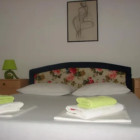 Apartment Andelic *